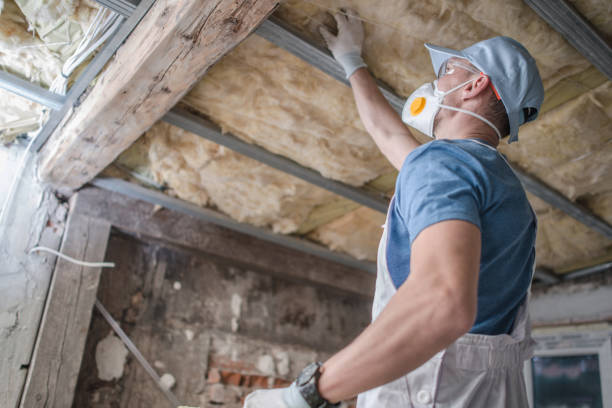 Best Insulation Installation Services in Morehead City, NC